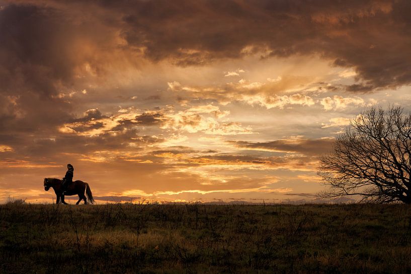 lone rider by Iman Azizi