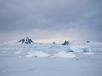 Arktische Eisscholle