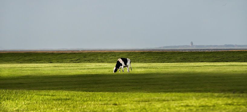 Noorderleech licht von Harrie Muis