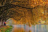 Autumn by the river