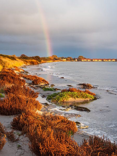 Côte de la mer Baltique sur l'île de Moen au Danemark par Rico Ködder