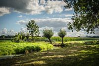 Zuid-Hollands polderlandschap bij Langerak