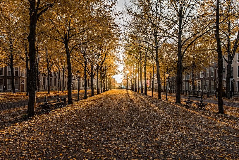 La Haye - Lange Voorhout par Tom Roeleveld