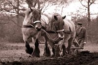 And the farmer, he ploughed on....