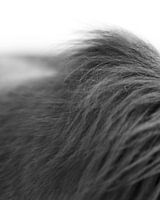 Creativity takes courage