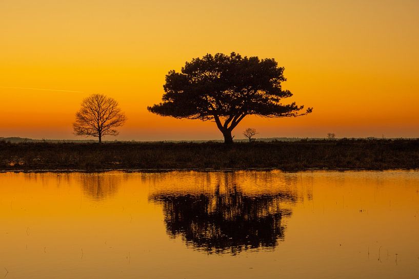 orangefarbenes Oberteil von snippefotografie