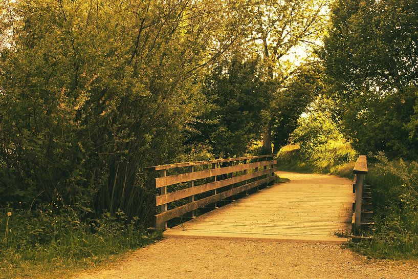 Wooden bridge in the forest path by Roberto Rossetti