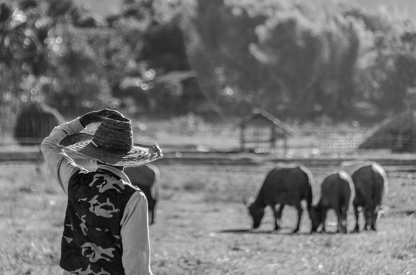 Keeping an eye out von Stephan Smit