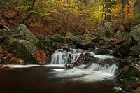 Waterfall in La Hoëgne