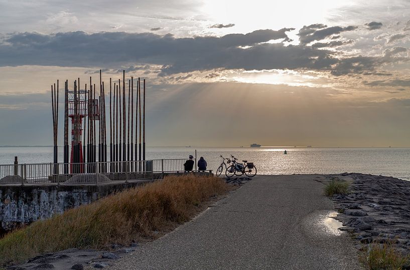 Harpe solaire par MSP Canvas