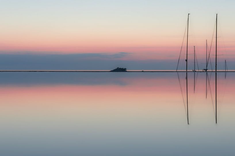 Reborn 1 par Nina Rotim