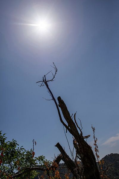 Hitze von Bernd Friedel