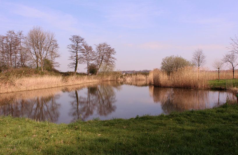 Bomen en riet weerspiegelen op het water von Deborah S