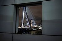 Image du pont Erasmus du soir à Rotterdam
