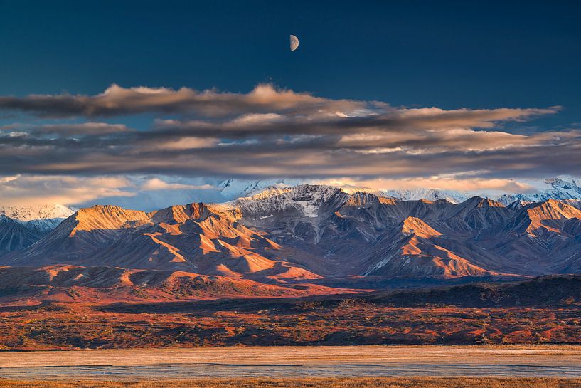 Denali-Nationalpark von Riccardo Marchegiani