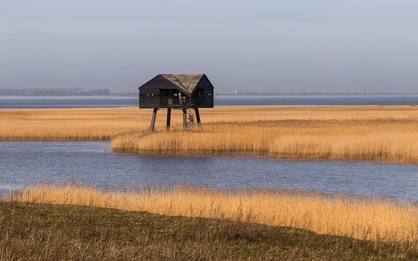 Naturgebiet von Marga Vroom