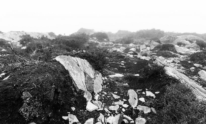 Dymond Hill Irland von Roy Vereijken