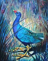 Purple Gallinule - Bird