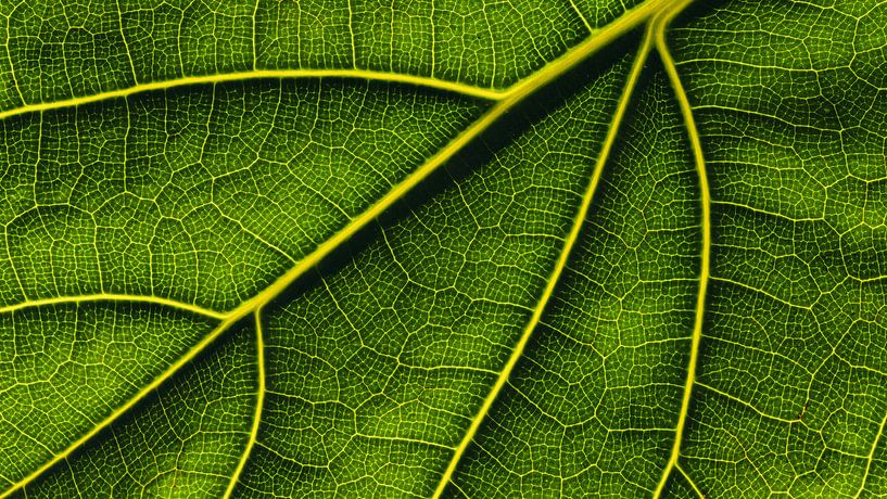 Green micro mosaic world by Saranda in t Veld Fotografie