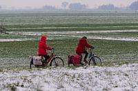 Fietsers in het rood