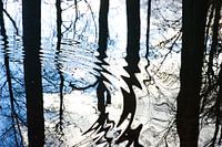 Abstract reflection tree with graphic effect