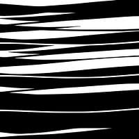 Organisch 9 | Schwarz & Weiß Minimalistisch Abstrakt