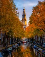 Beautiful autumn colors during a lovely morning in Amsterdam