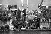 Les rues d'Amsterdam - jardin sur le trottoir