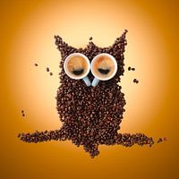 Hibou endormi fait de grains et de tasses de café