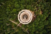 Plate-forme d'observation à la cime des arbres de Bad Wildbad ... une mer de verdure