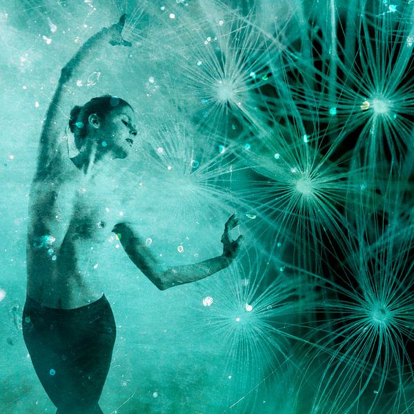 Traumtanz von Falko Follert