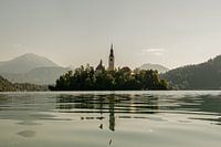 L'église de l'Assomption de Marie sur le lac mystique de Bled