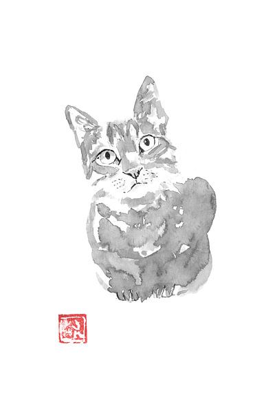 chat gris par Péchane Sumie