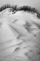 Terschellinger Dünen