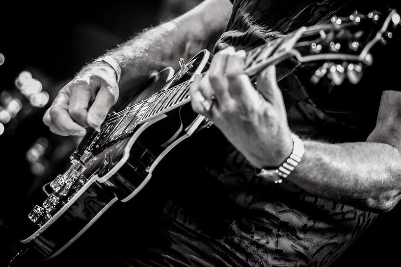 guitar 2 by Margriet Cloudt