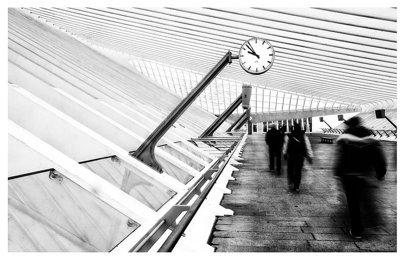 tempus figit by Marianne Dirix