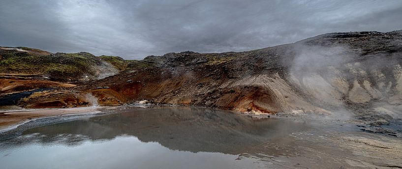 geothermal region Iceland by Maarten van der Voorde