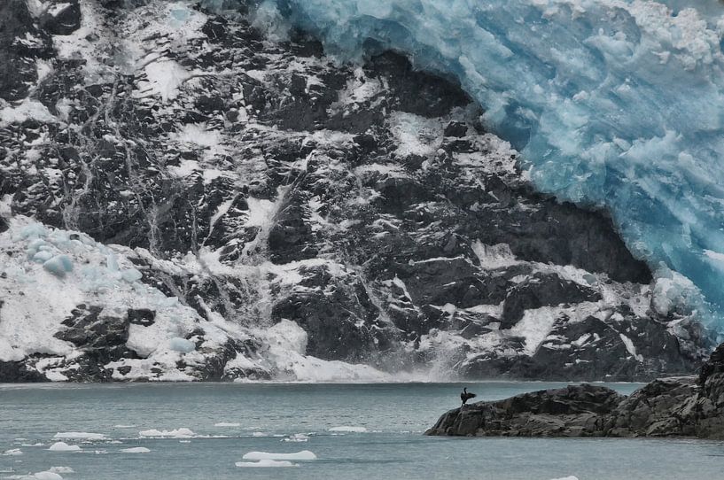 Aialik Glacier, Alaska von Tilly Meijer