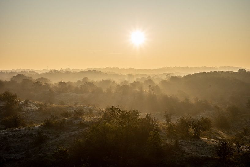 Sonnenaufgang in den Dünen von Tomas Grootveld