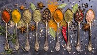 World kitchen spices on copper spoons