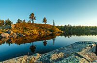 Autumn colours at Norway