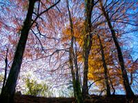 Goldenes Leuchten der Herbstblätter am blauen Himmel