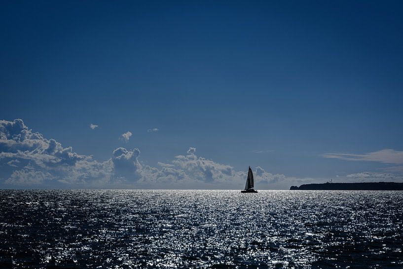Voilier par Eddy Westdijk