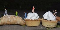 miniatuur world the fitnessclub eten voedsel taart little people