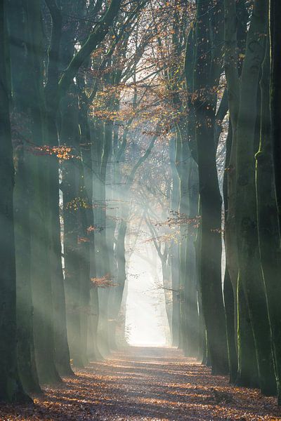 Blasting by Bassie's winkel