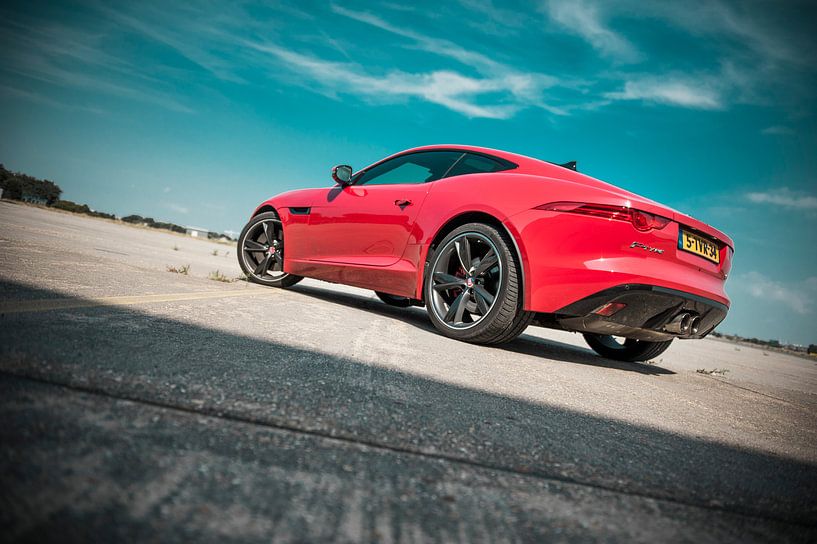 Jaguar by Sytse Dijkstra