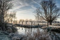 De zotte morgen in Zwalm