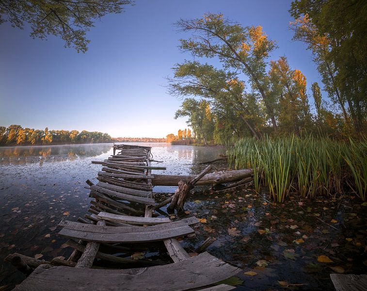 Herbststimmung von Stanislav Salamanov