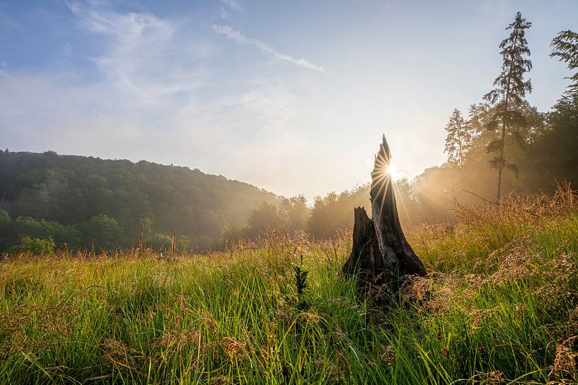 Bergisches Land, Nordrhein-Westfalen, Deutschland von Alexander Ludwig