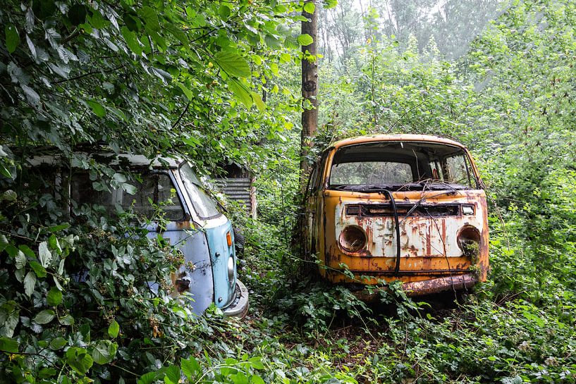 Old and Rusty van William Linders